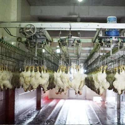 Free Design 2000bph Automatic Whole Chicken Part Chicken Complete Poultry Slaughtering Line