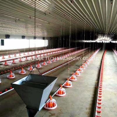 Full Automatic Poultry Broiler Farm Equipment