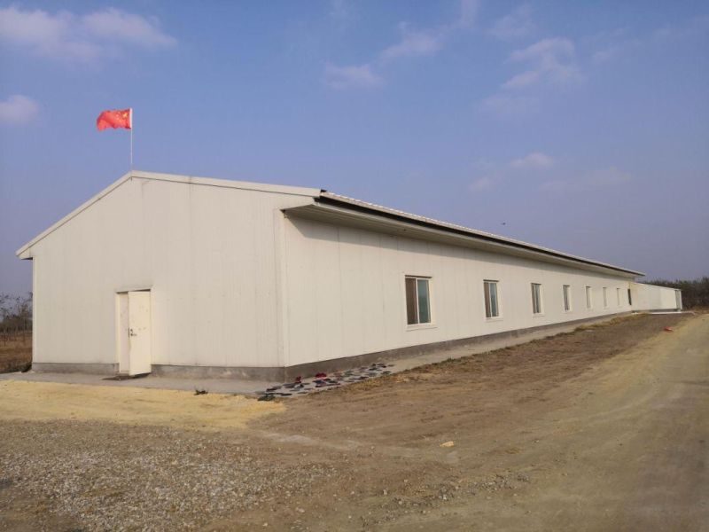 Poultry Equipment Pigeon Cage