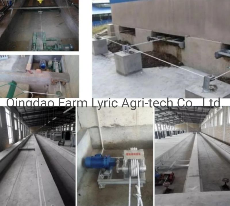 High Quality Manure Scraper/Automatic Manure Removal System for Poultry Farm
