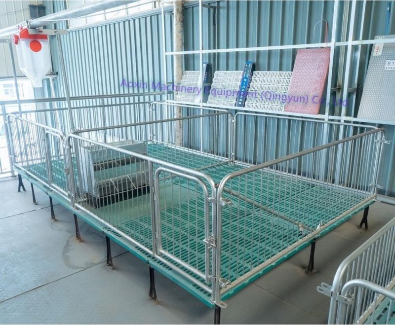 Pig Farm Equipment Growing Pig Nursery Pen for Sale