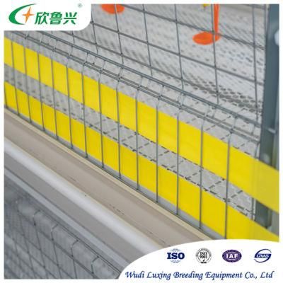 Poultry Equipment H Type Chicken Broiler Cage