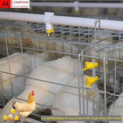 Hot Chicken New Longfeng China Layer Battery a Type Equipment Poultry Farm Cage