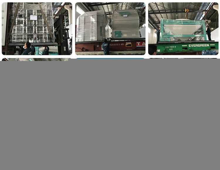 China Chicken Poultry Feed Mill 10tph Feed Pelleting Equipment