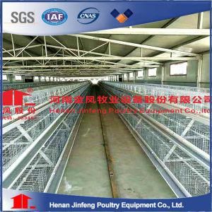 Poultry Farm Equipment Automatic Battery Design Layer Chicken Cage