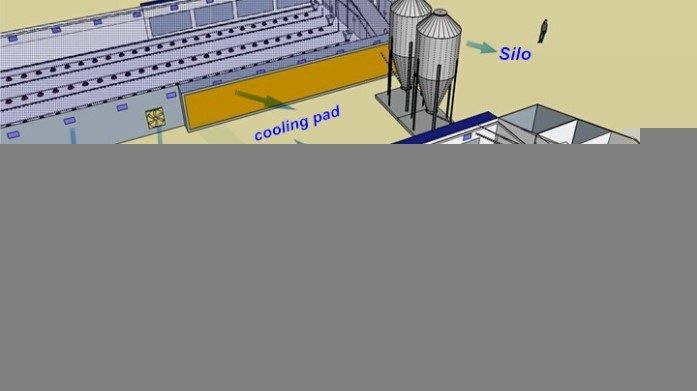 Poultry House for 10000 Chickens Farm Construction Plan