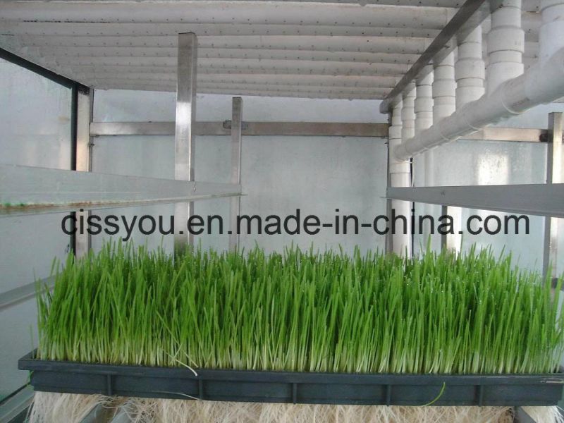 Hydroponic Cattle Sheep Horse Barley Fodder Grass Growing Machine