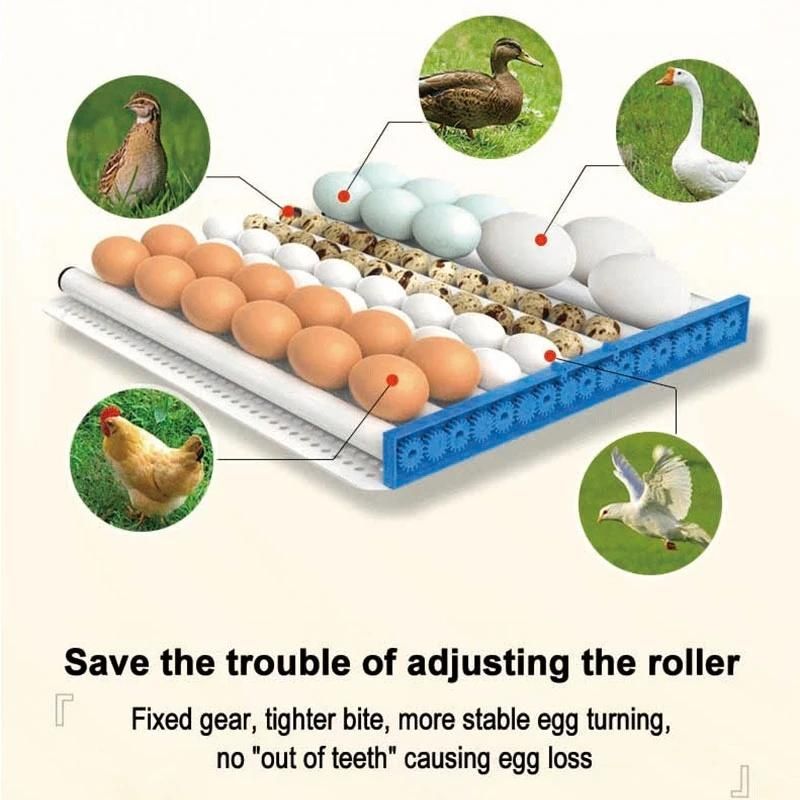 64 PCS High Hatching Rate Industrial Mini Large Fully Automatic Pigeon Egg Incubator Machine Chicken Egg Incubator for Sale