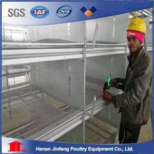 H Frame Automatic Laying Egg Chicken Cage Poultry Equipment Sale