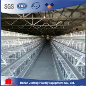 Design Chicken Cage Poultry Equipment for Chicken Farms