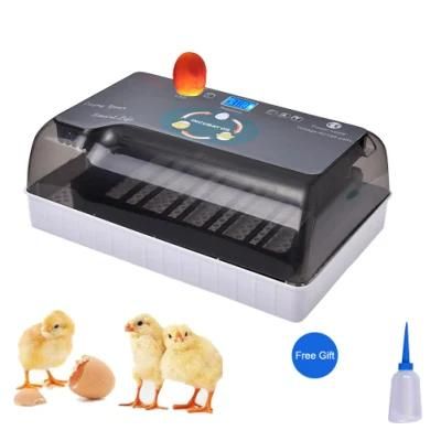 Hhd Mini Incubator Spare Parts Accessory 12 Eggs Chicken Incubator and Hatching machine