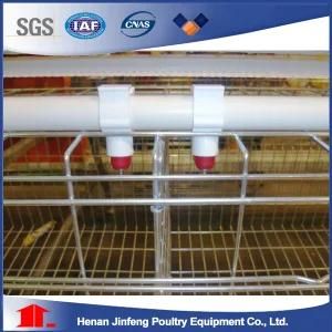 Manufacture Automatic Poultry Farm Nipple Drinker for Chicken/Layer/Broiler/Breeder Incubator