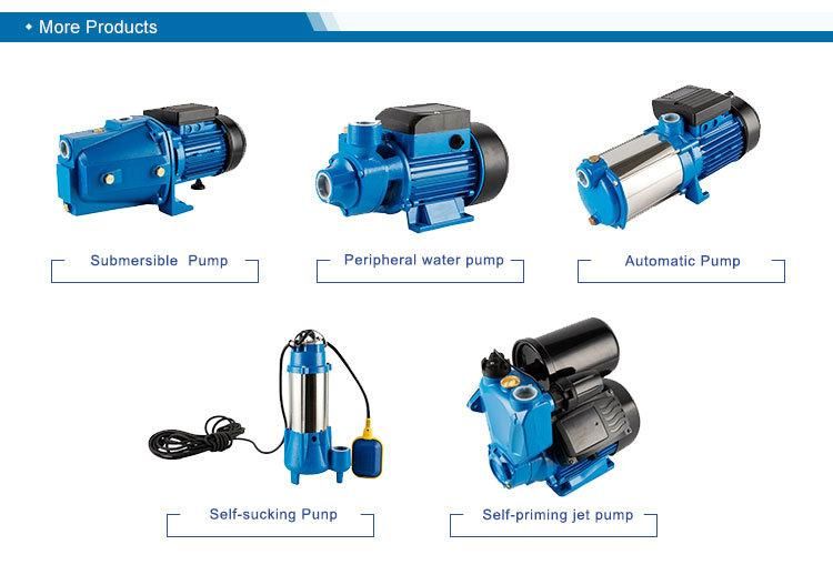 Nfm Series Domestic Irrigation Pump