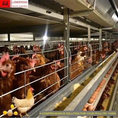 Longfeng Local After-Sale Service in Asia Chicken Cage Poultry Feeding Equipment