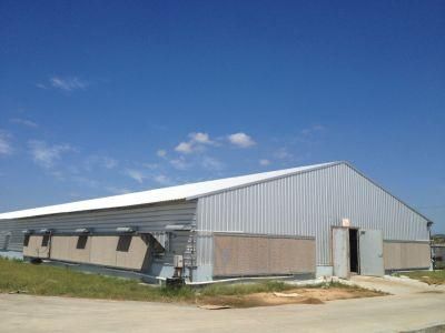 Automatic Chicken Cage with Steel Structure Poultry House