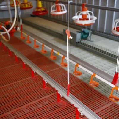 Plastic Animal Drinkers and Feeders Chicken Feeder Poultry Farming