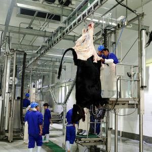 Cow Skin Machine Hide Puller for Slaughter Line