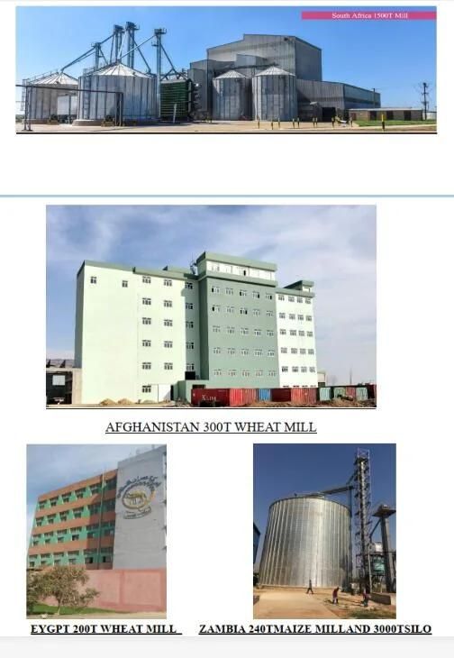 Zambia Malawi Mozambique Botswana Maize Flour Machine with Price