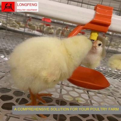 Automatic Farming Equipment Large Scale Poultry House Broiler Chicken Cage