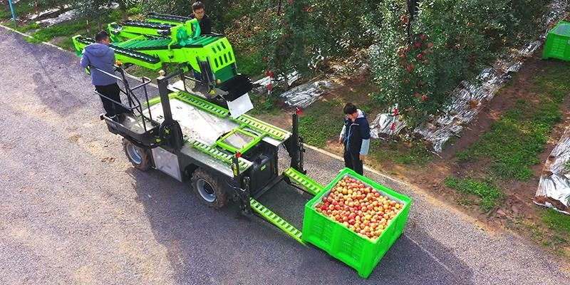 Gl-4A Wheeled Orchard Harvester Fruit Apple Picking Machine