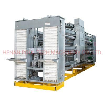H Type Layer Cage Raising Equipment for 40000 Birds Layer Project