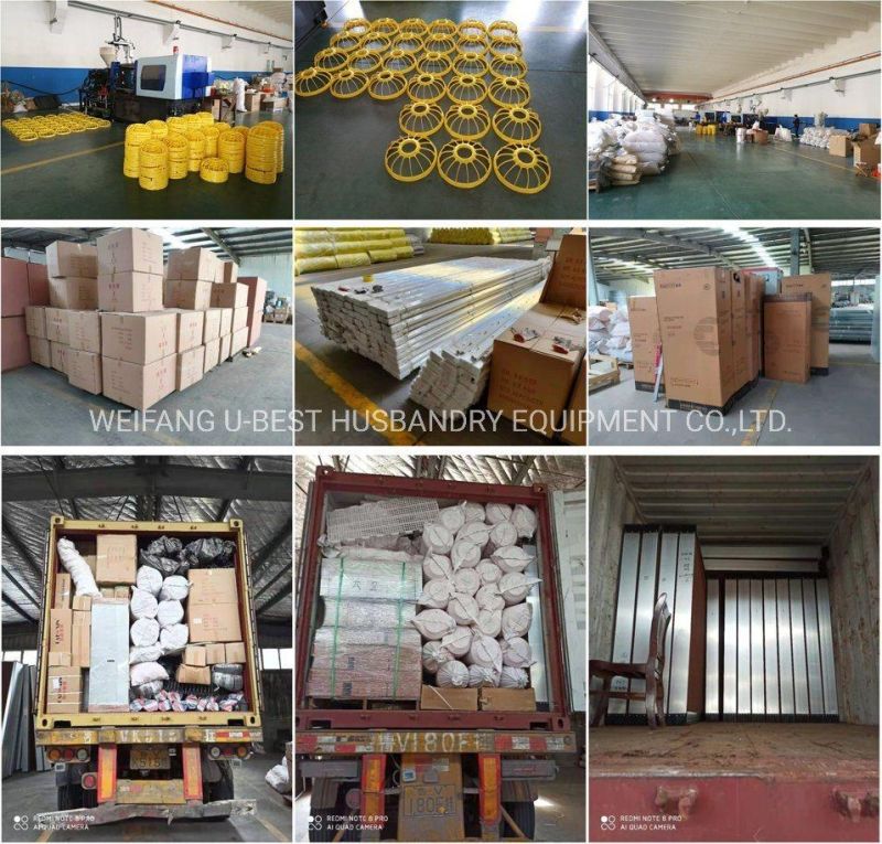 Automatic Poultry Farm Floor Raising Chicken Broiler Breeder Pan Feeder and Drinker System for Poultry Farm