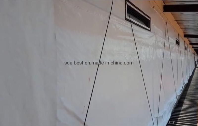 Side Wall Automatic Poultry House Curtain for Chicken Farming