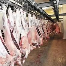 Halal Abattoir Machine for Lamb Slaughtering Equipment Eidalfitr Slaughterhouse Feedleot