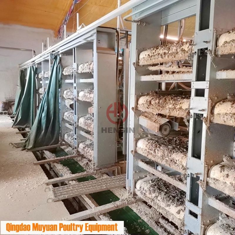 Completed Galvanized H Frame Battery Chicken Poultry Farm/Farming Livestock Machinery /Equipment for Meat Broiler Cage with Manual Birds-Harvest
