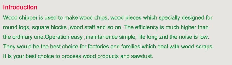 Drum Wood Chipper (GX216)