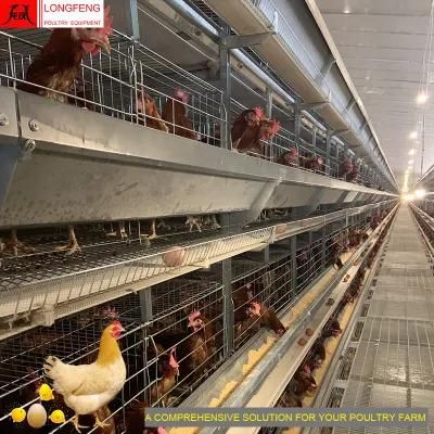 Farming Automatic Chicken Cage Longfeng China Layer Battery Cages Farm Poultry Equipment