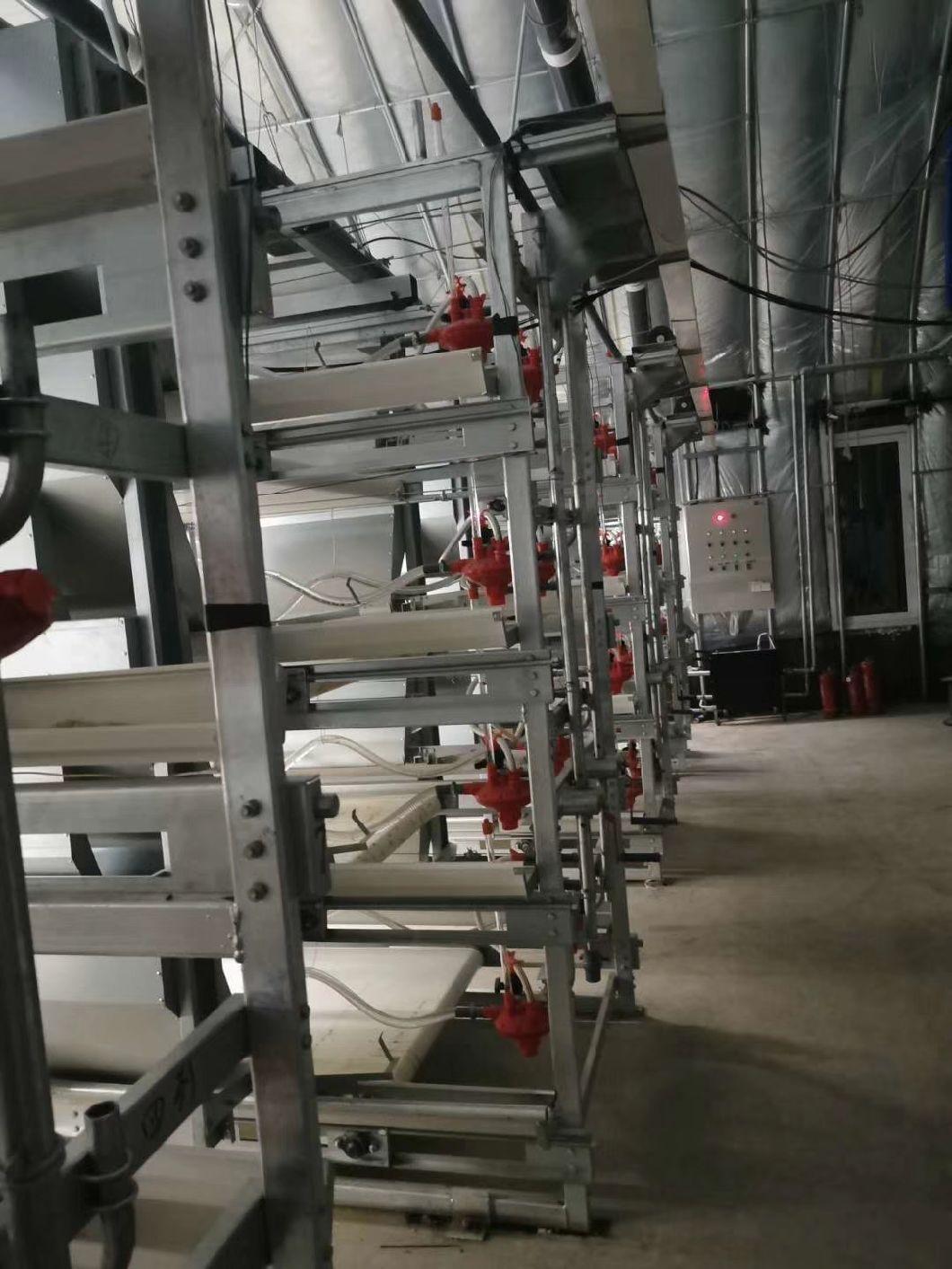 Chicken Farming Equipment Chicken Cage