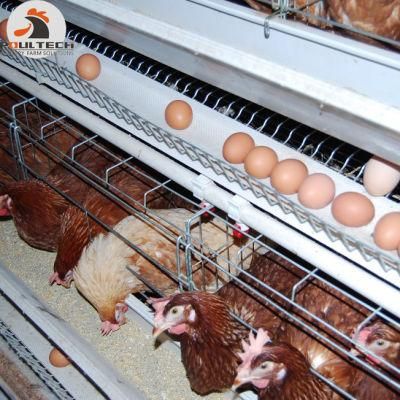 Agricultural Poutlry Cage and Fully Automatic Equipment a Type Chicken Cage