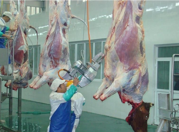 Cattle Sheep Abattoir Slaughtering Equipment