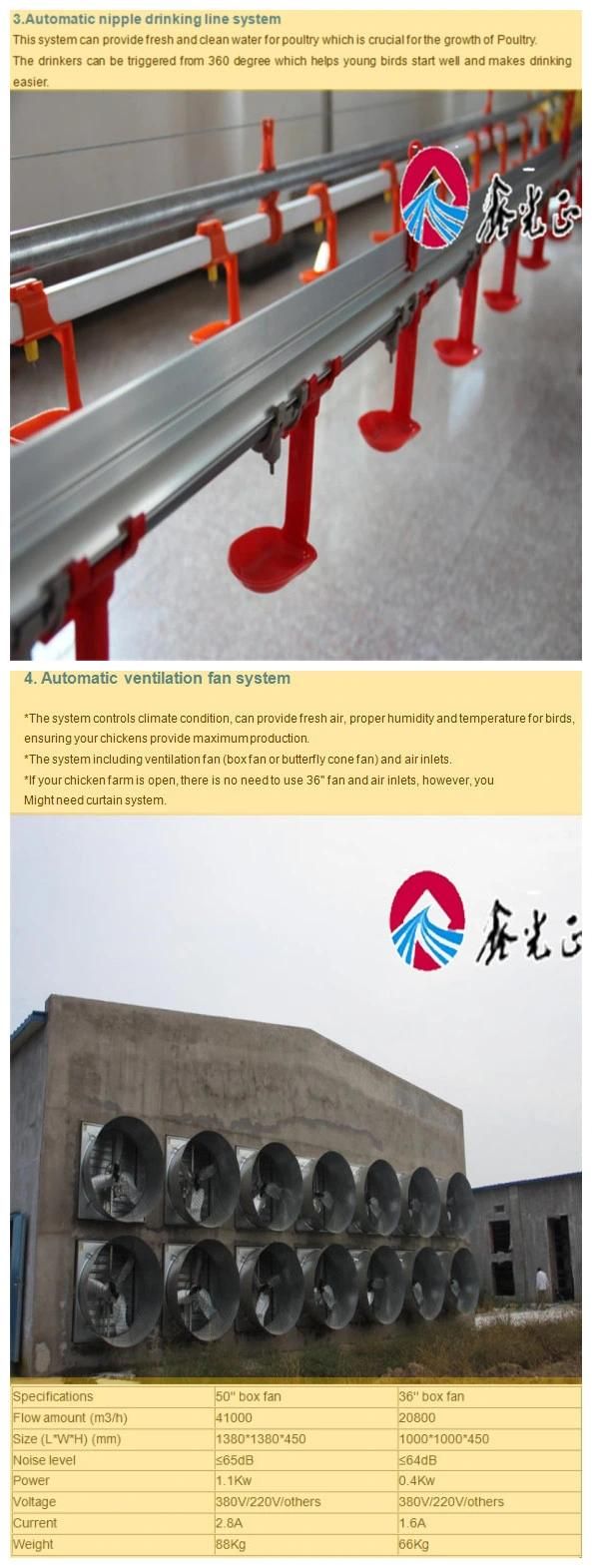Automatic Chicken Poultry Farm Equipments for Broiler