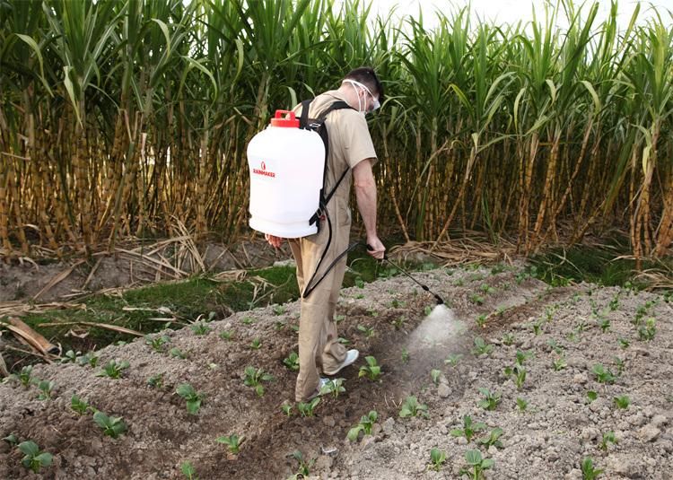 Rainmaker 16L Knapsack Electric Agriculture Sprayer