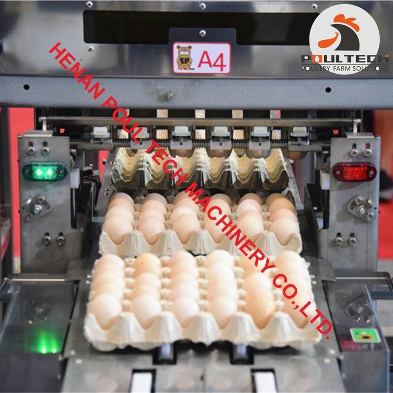 Egg Packing Machine with Capacity of 20000 Eggs Per Hour