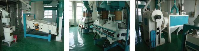 3t Sesame Seed Destoner Processing Machinery