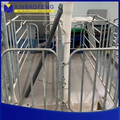 Factory Price Pig Farm Equipment Pig Stalls Gestation Stall