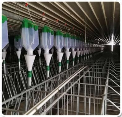 Livestock Pig Farm Steel Silo for Sale