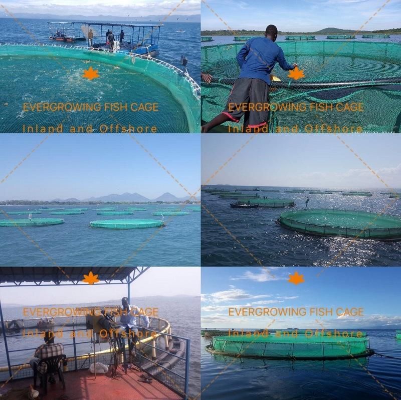 HDPE Circular Sea Floating Fish Farming Aquaculture Cage