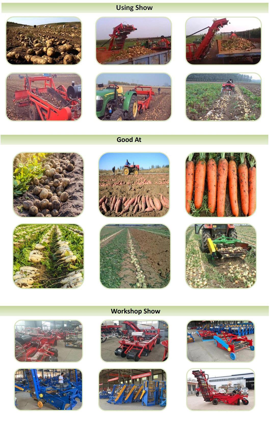 Potato Harvest Machine/Sweet Potato Harvesting Equipment /Batata/Spanish Potato Harvester for Farm