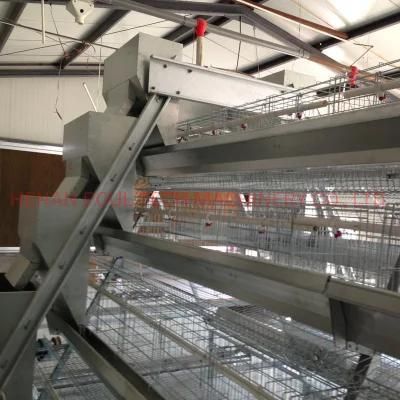 a-Frame Poultry Farm Layer Hens Cage with Egg Collection System
