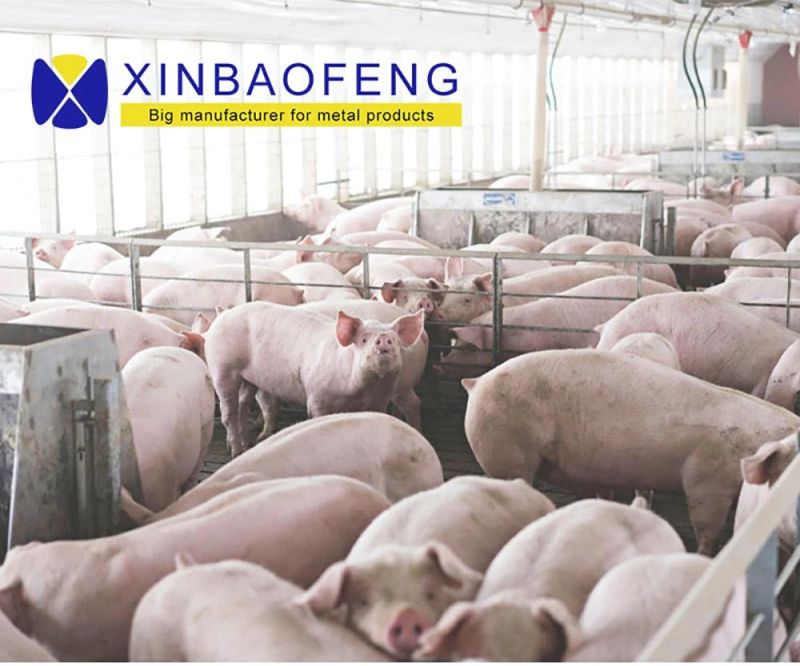 Sow Stall/Gestation Stall for Sall