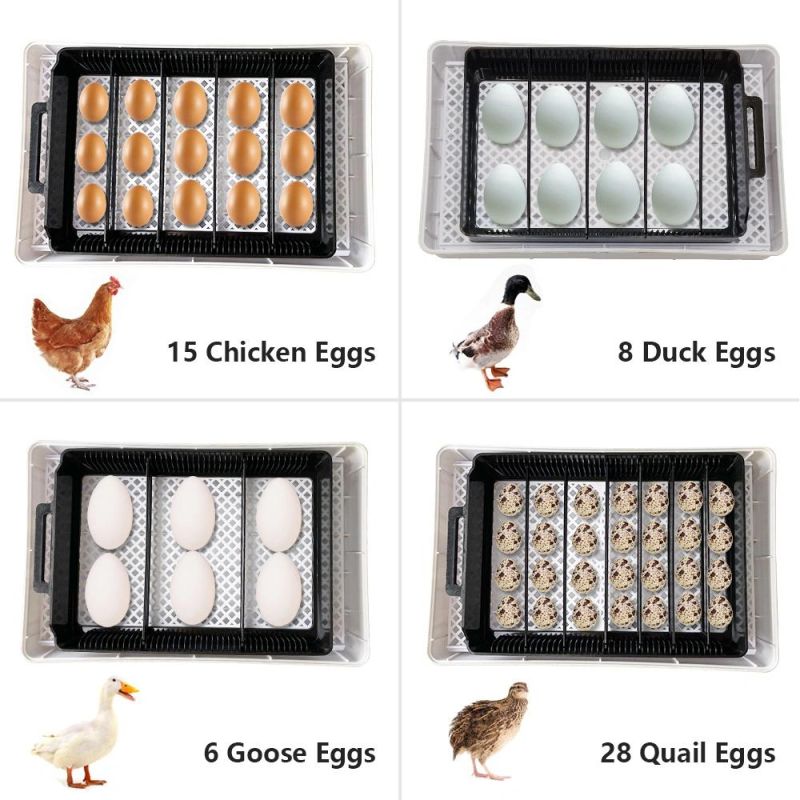 Home Use 15 Egg Incubator Mini Chicken Egg Incubator Automatic Egg Incubator Poultry Equipment