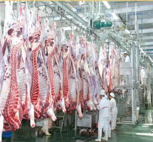 Cattle Slaughter House Equipment Automatic Carcass Processing Convey Systems of Abattoir Equipment
