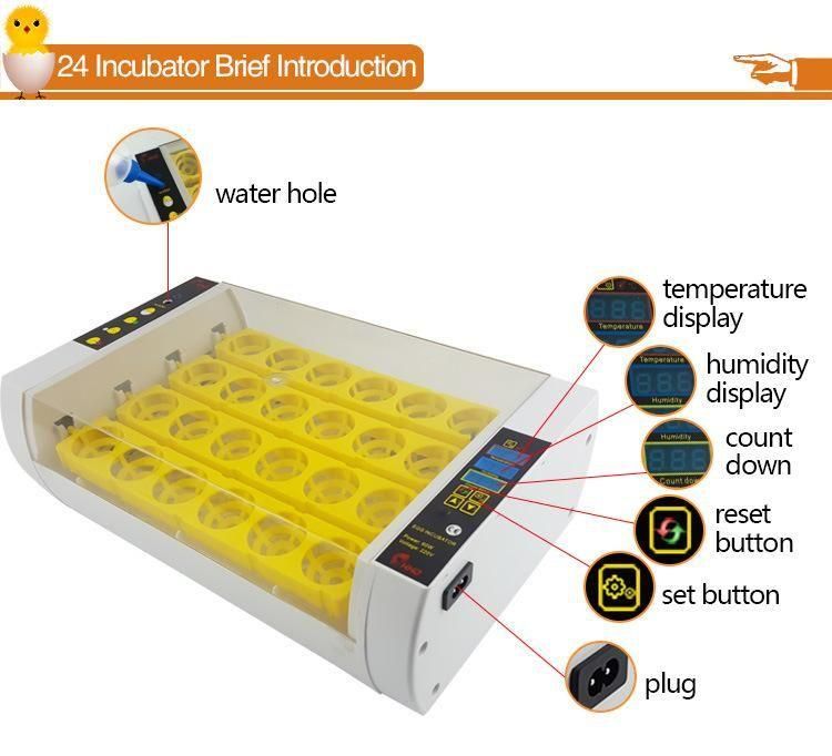 Hhd Ew-24A Egg Incubator Hot Sale in Qatar