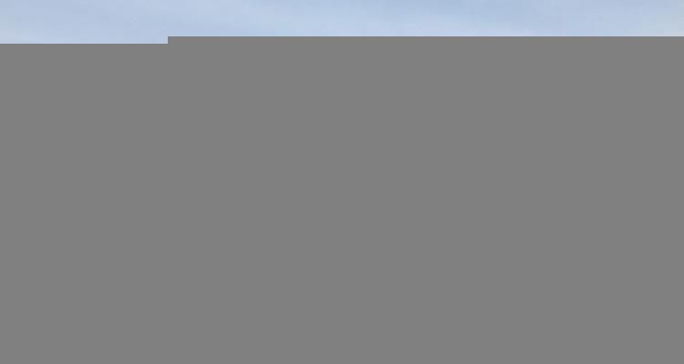 Small Size Hen Feed Cow Feed Poultry Feed Straw Shredder