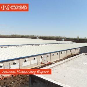 Complete Automatic Poultry Farm Equipment