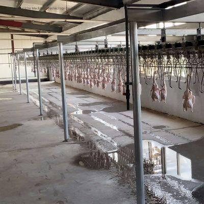 Professional Halal Poultry Turkey Slaughter Machine Small